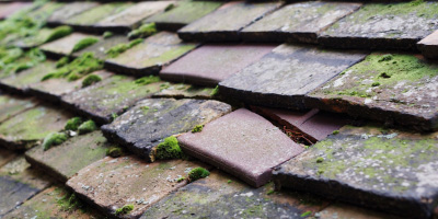 Greatgap roof repair costs